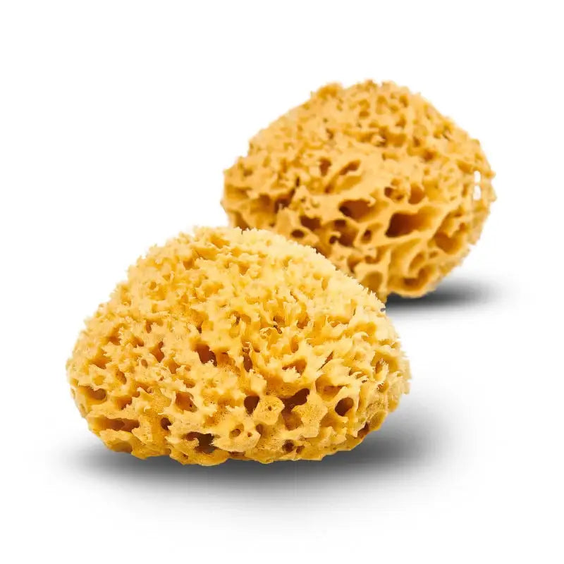 Natural Sea Sponge - Smile Boutiques