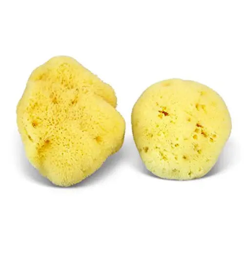 Natural Sea Sponge - Smile Boutiques