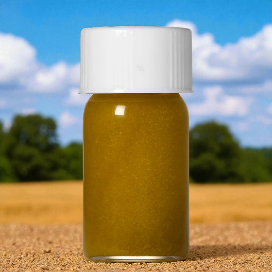 Sun Gold Daisy Essential Oil - Living Libations-Live in the Light Naturally Ltd