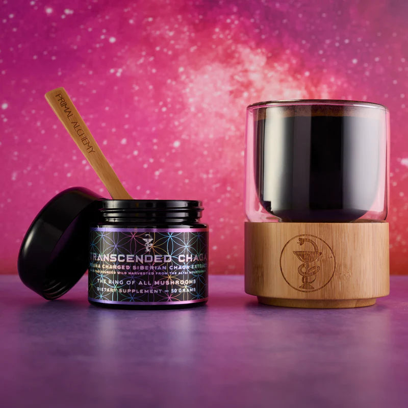 Transcended Chaga ∞ The King of all Mushrooms - 50g Primal Alchemy