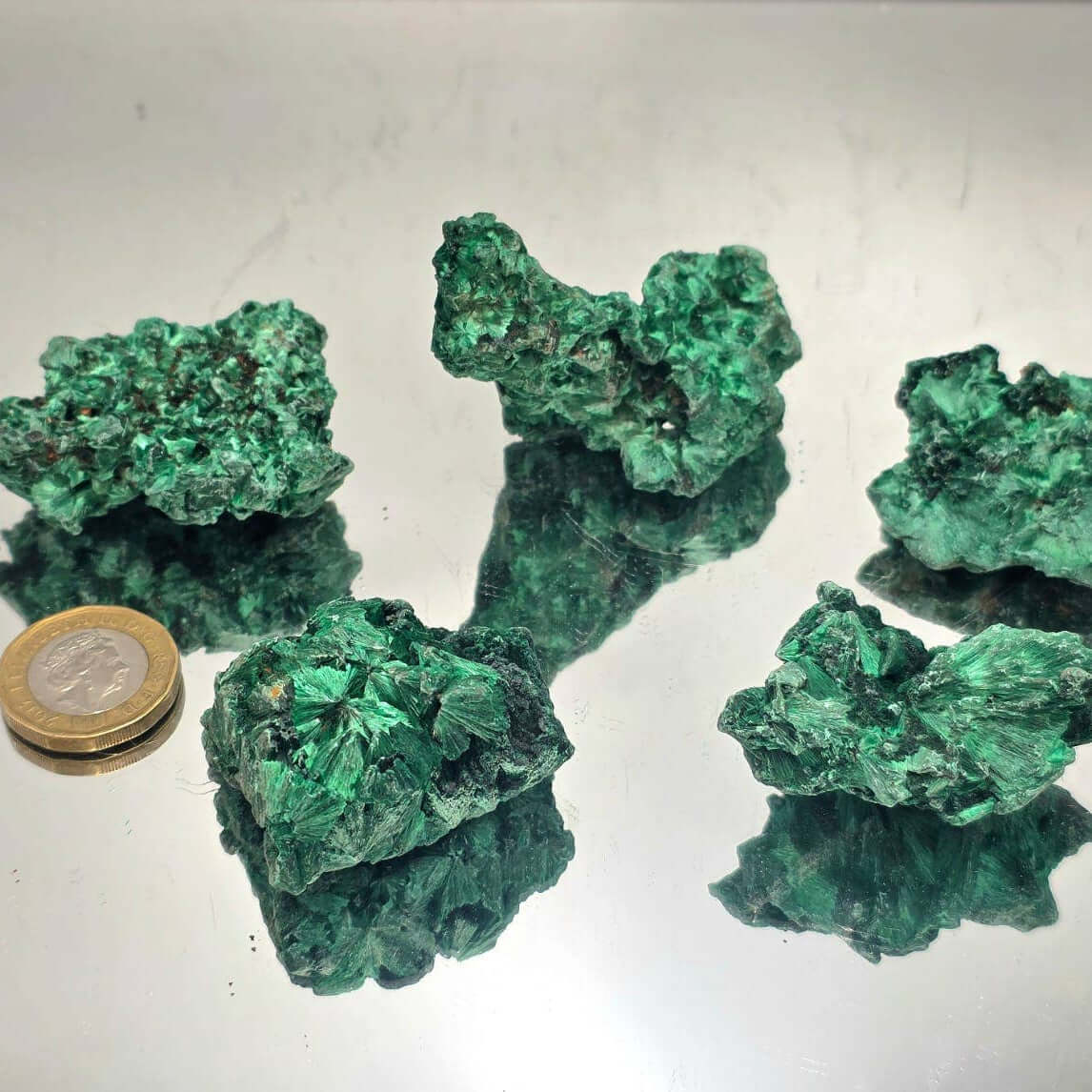 Green mineral specimens on a reflective surface with a coin for scale.