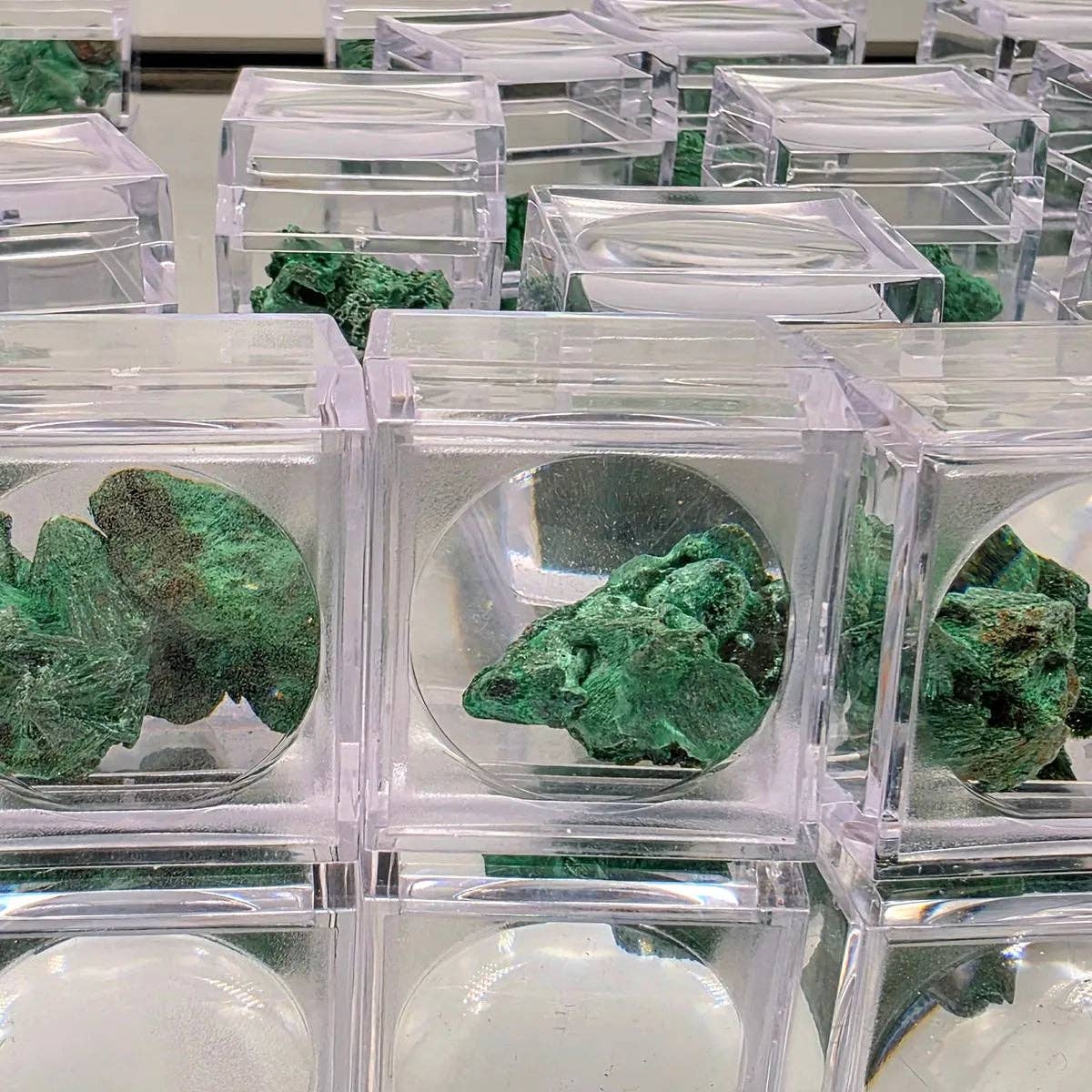 Various pieces of Velvet Malachite Raw In Magnifying Box showcased in clear display cases.