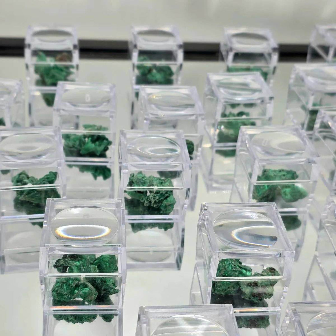 Multiple small transparent containers with green and white substances arranged in rows.