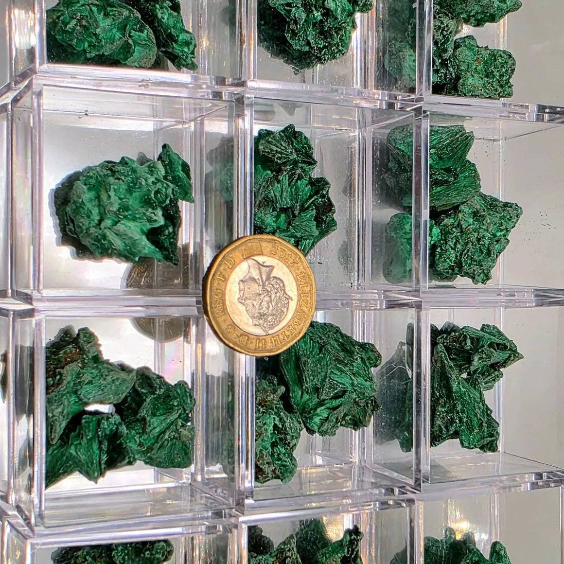Gold coin with a unique design on a grid of green mineral specimens.