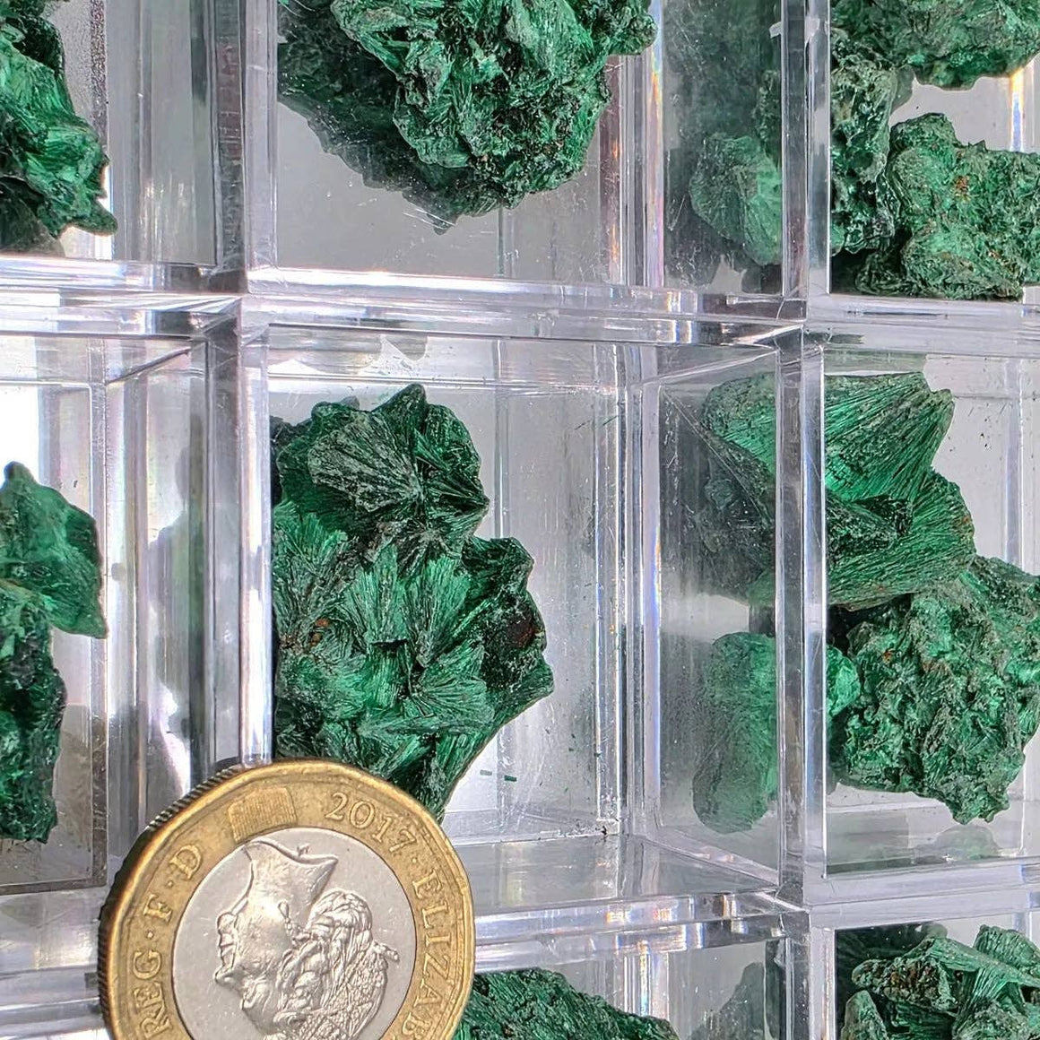 Green mineral specimens in clear cubes with a £2 coin for scale.