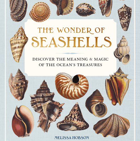Book cover of 'The Wonder of Seashells' with illustrations of various seashells on a light blue background.