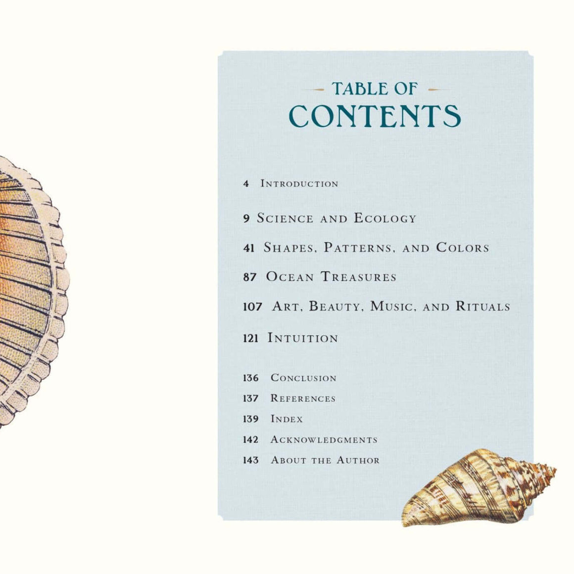 Table of contents page with a shell illustration on a white background