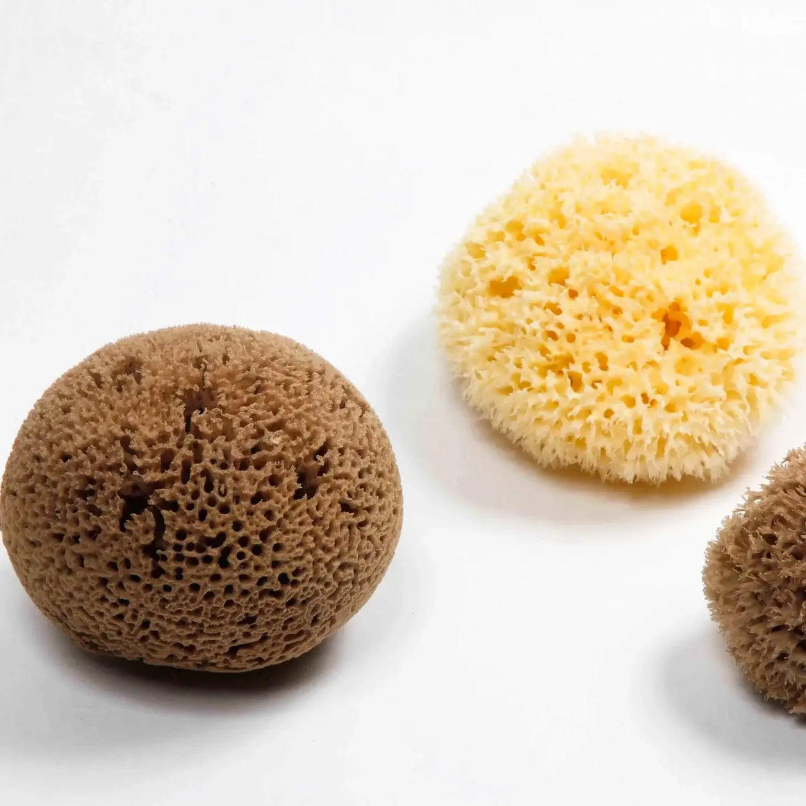 Natural Sea Sponge - Smile Boutiques