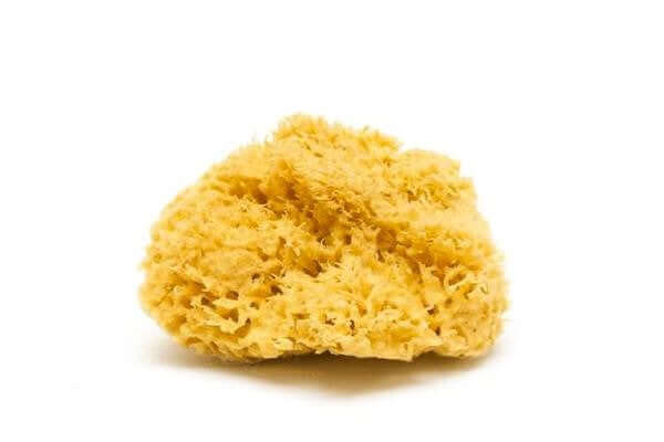 Natural Sea Sponge - Smile Boutiques