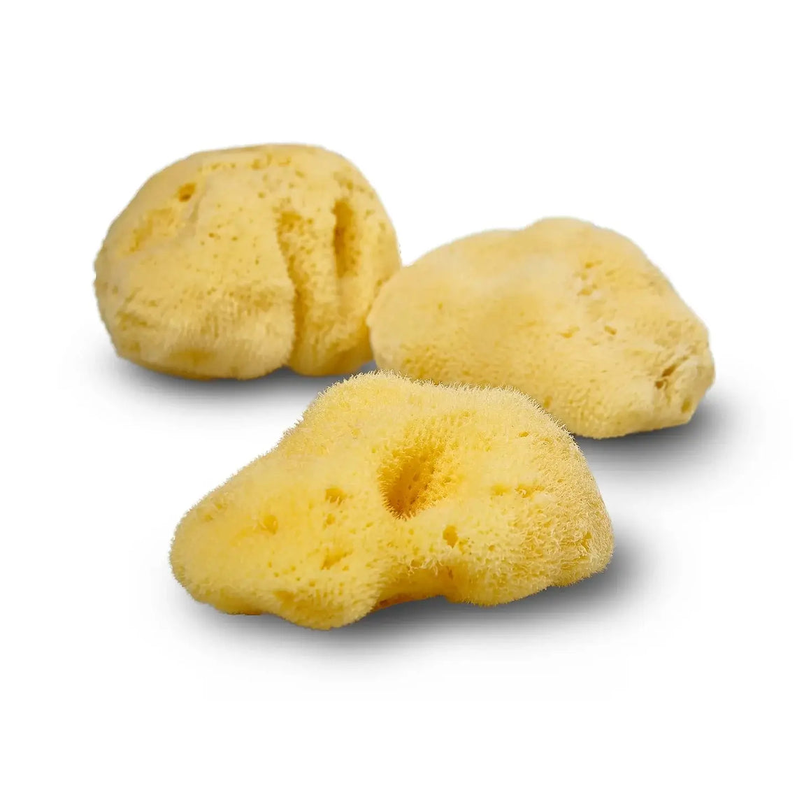 Natural Sea Sponge - Smile Boutiques