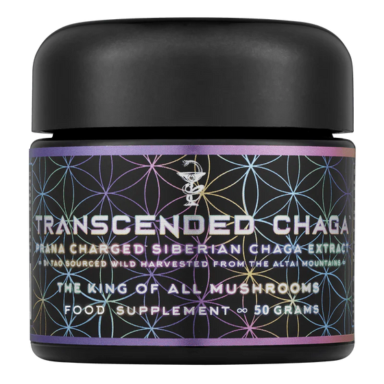 Transcended Chaga ∞ The King of all Mushrooms - 50g Primal Alchemy