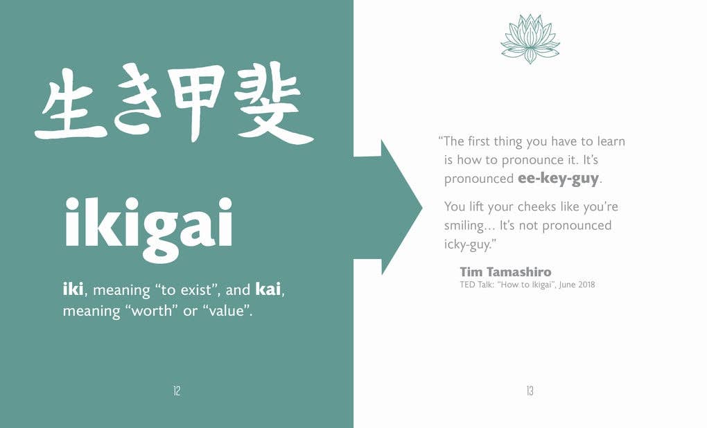 The Little Book of Ikigai by Katalin Németh (Hardback)