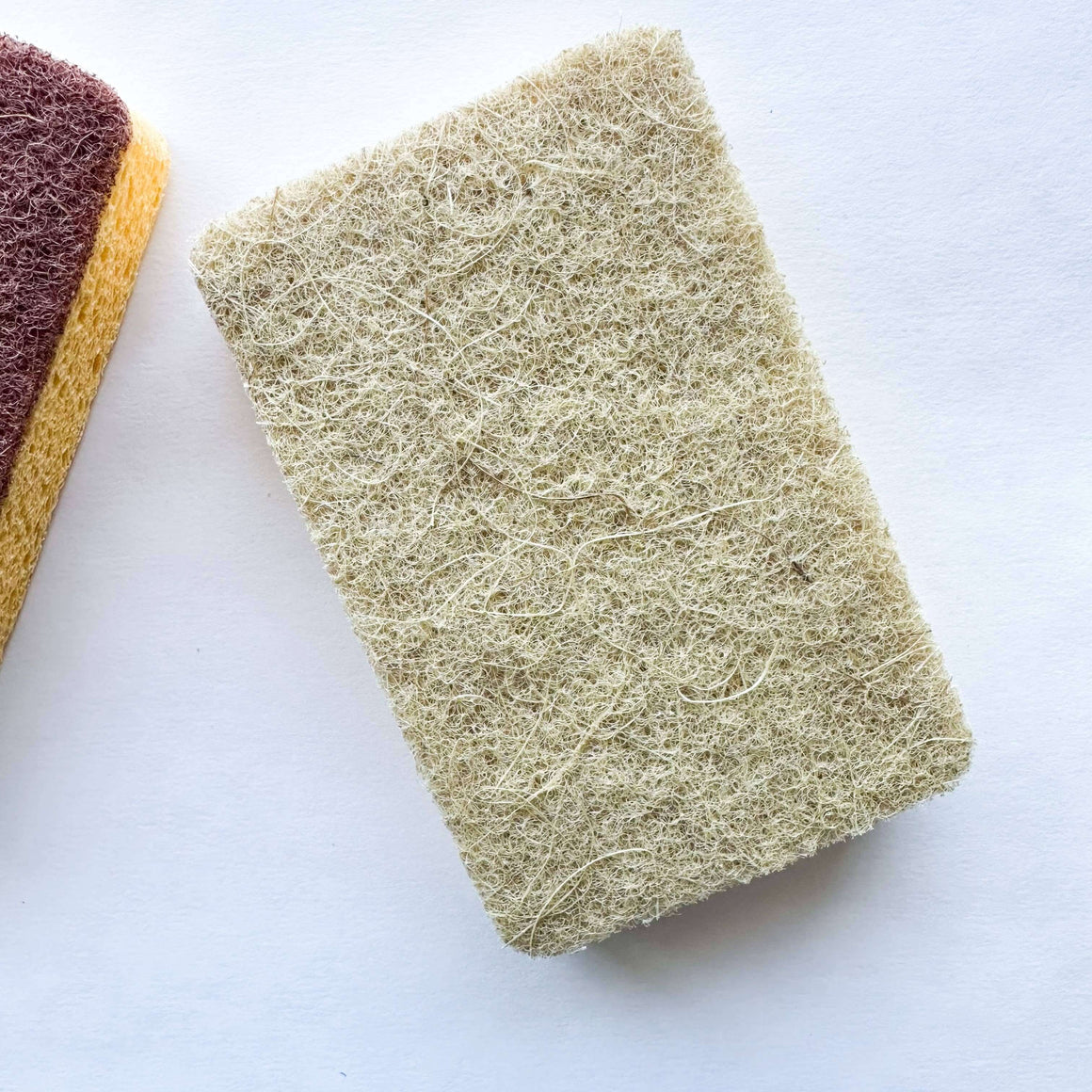 Two scrubbing sponges on a white background