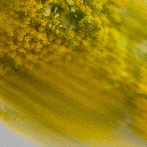 Sensitive Deodorant - Vanilla Coconut