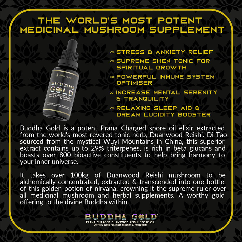 Buddha Gold Reishi Spore Oil - 30 ml (60 portions)