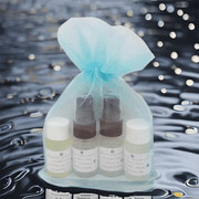 Carina Organics Daily Light Sample Kit - Hair