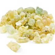 Frankincense Serrata Essential Oil - Living Libations