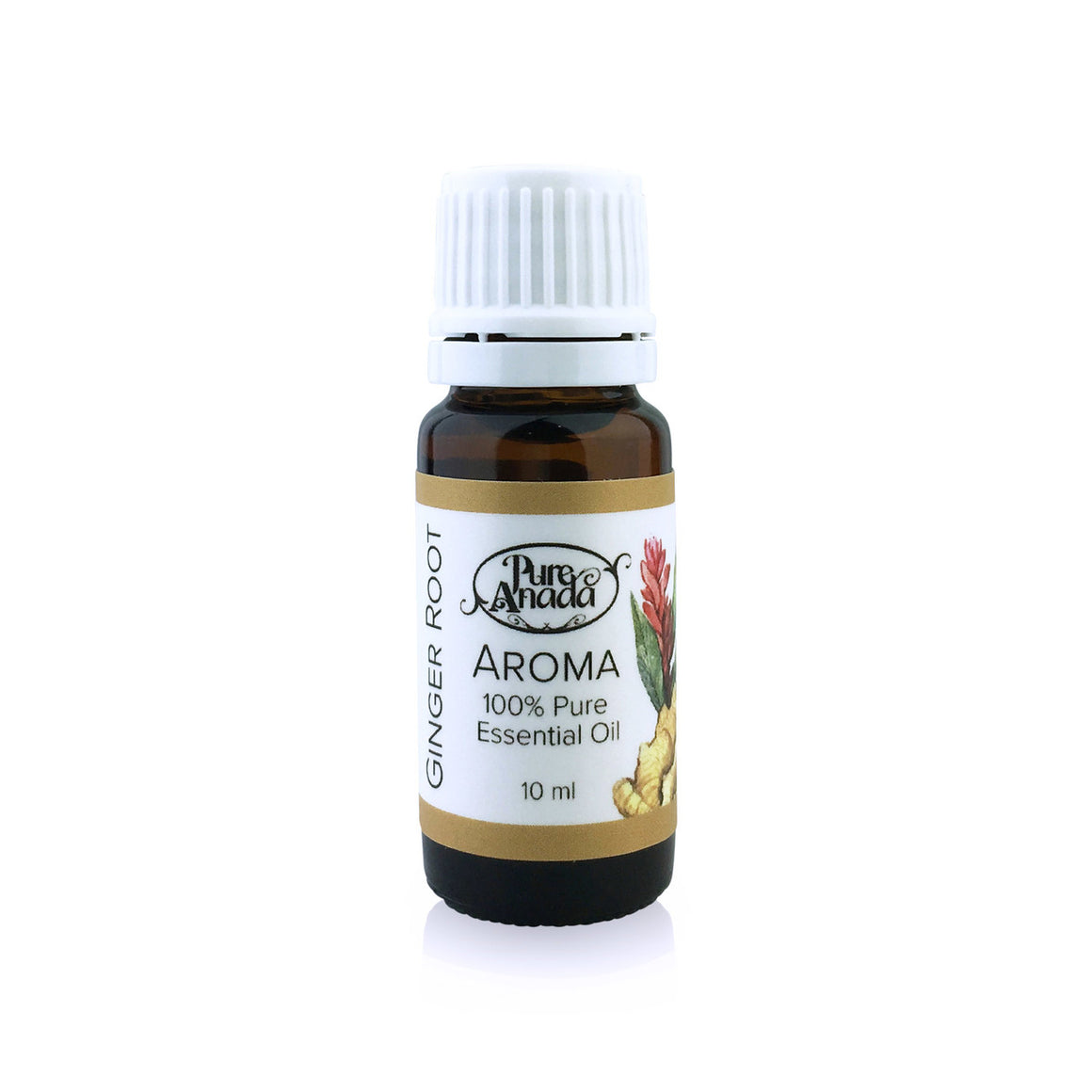 Ginger Root Aroma - Essential Oil 10ml-PureAnada-Live in the Light