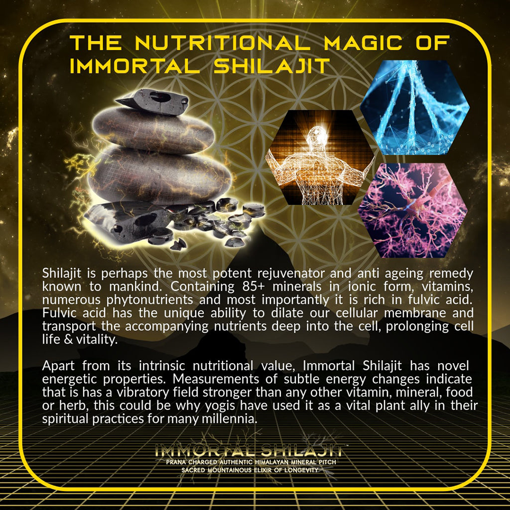 Shilajit Kopen En Productiviteit Verhogen