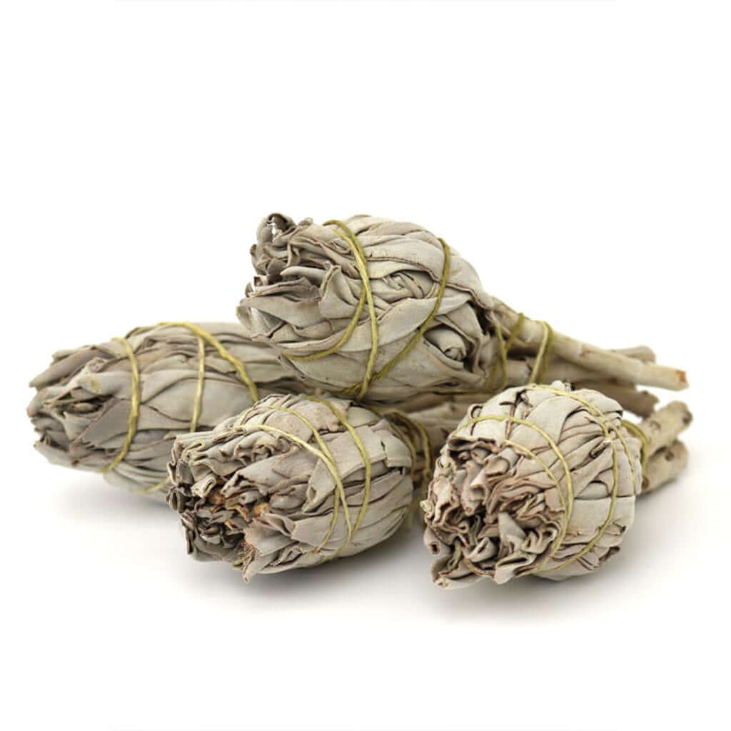 Premium Californian White Sage Smudge Stick – Sustainably Sourced
