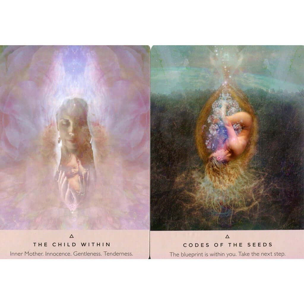The Rose Oracle by Rebecca Campbell