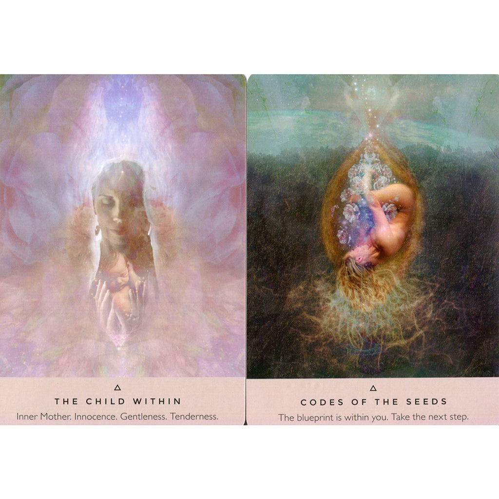The Rose Oracle by Rebecca Campbell