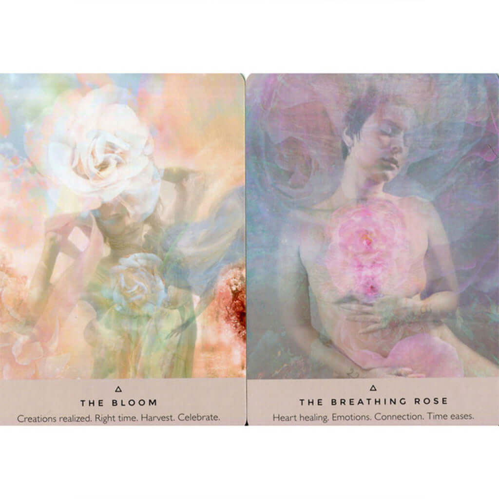 The Rose Oracle by Rebecca Campbell