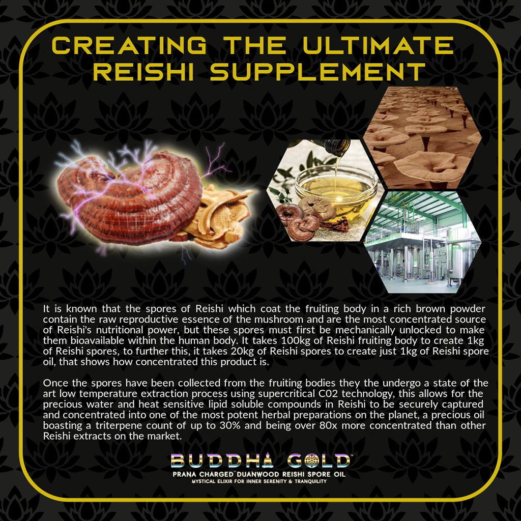 Buddha Gold Reishi Spore Oil - 30ml (60 Porcji)