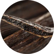 Vanilla Essential Oil - Living Libations