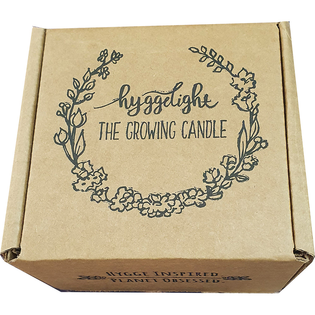 Natural Wax Candle - Hyggelite Growing Candle - Adelyn