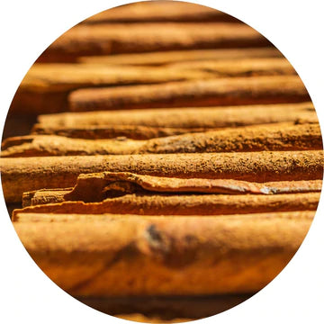 Cinnamon Bark Essential Oil - Living Libations