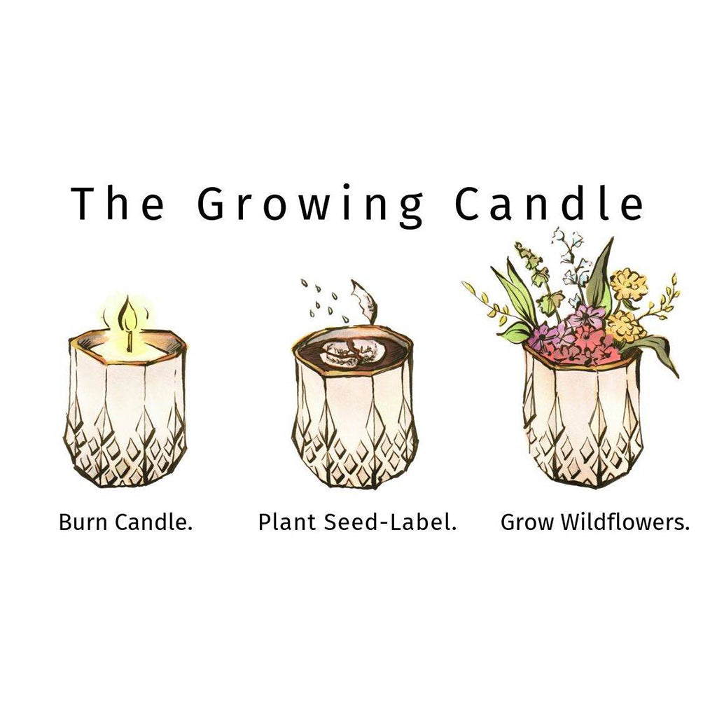 Natural Wax Candle - Hyggelite Growing Candle - Adelyn