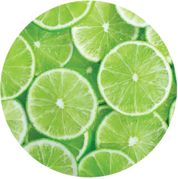 Lime Essential Oil - Living Libations