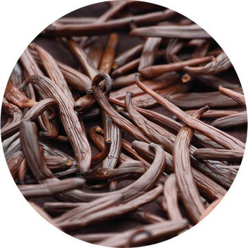 Vanilla Fusion Carrier Oil - Living Libations-Live in the Light Naturally Ltd